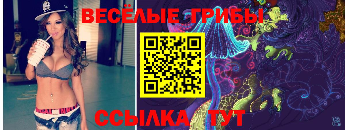 Галлюциногенные грибы Psilocybe Белгород