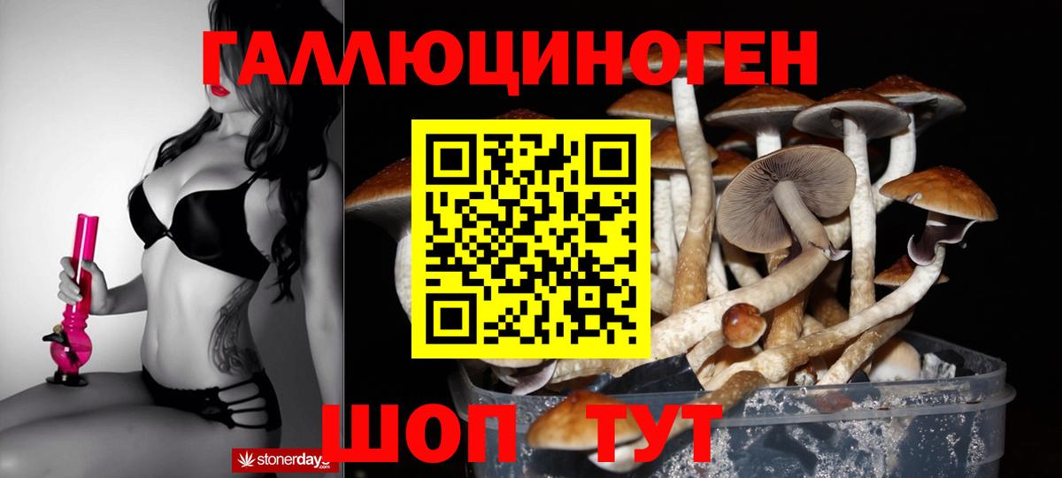 Псилоцибиновые грибы MAGIC MUSHROOMS  Вход с VPN  Белгород  Псилоцибиновые грибы мухоморы 